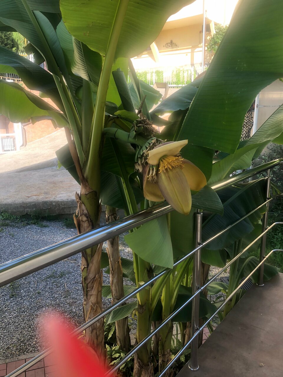 Гостевой дом Элит Хаус Сочи-246