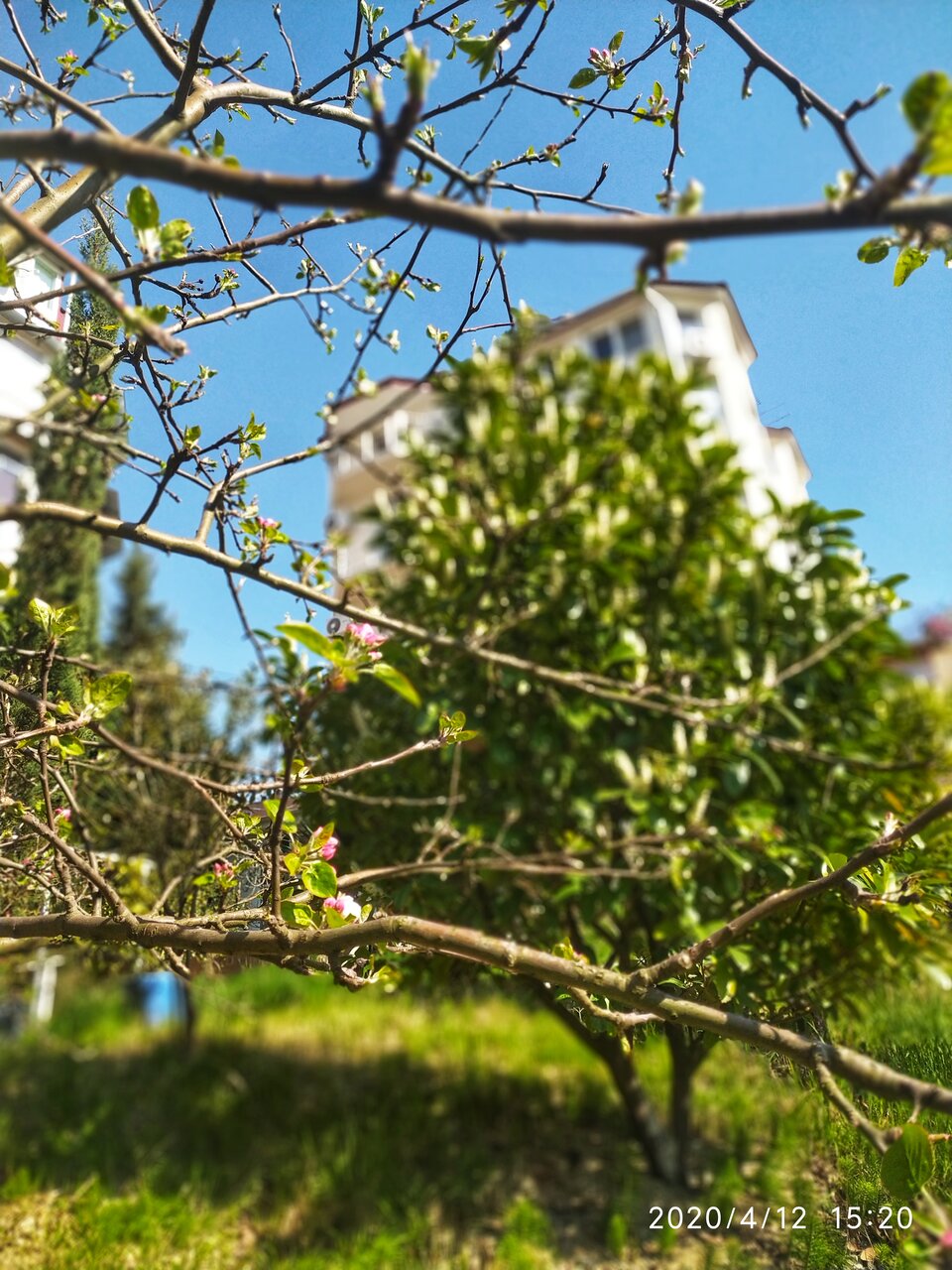 Гостевой дом Элит Хаус Сочи-46