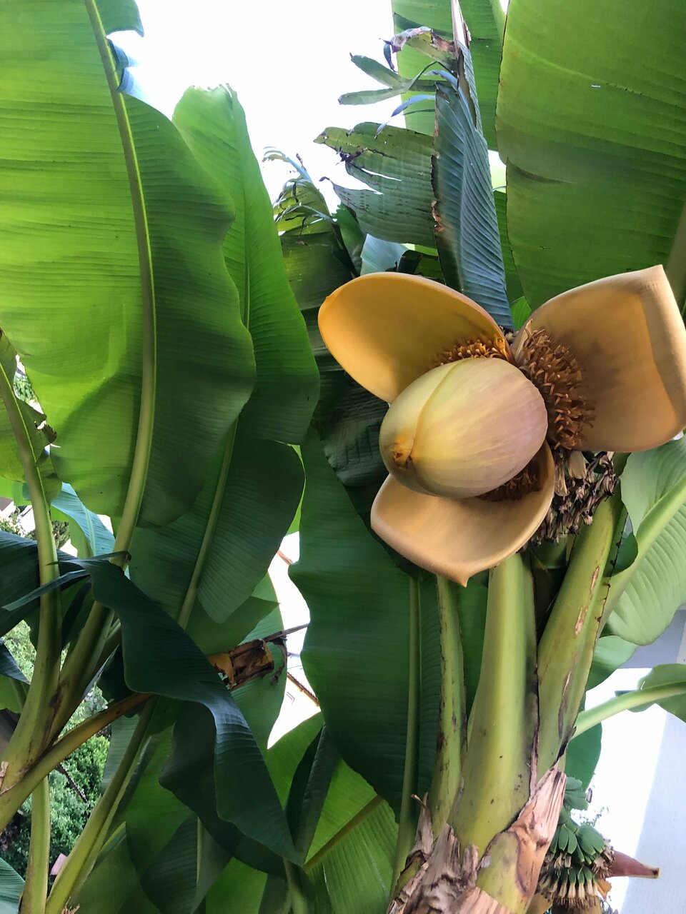 Гостевой дом Элит Хаус Сочи-252