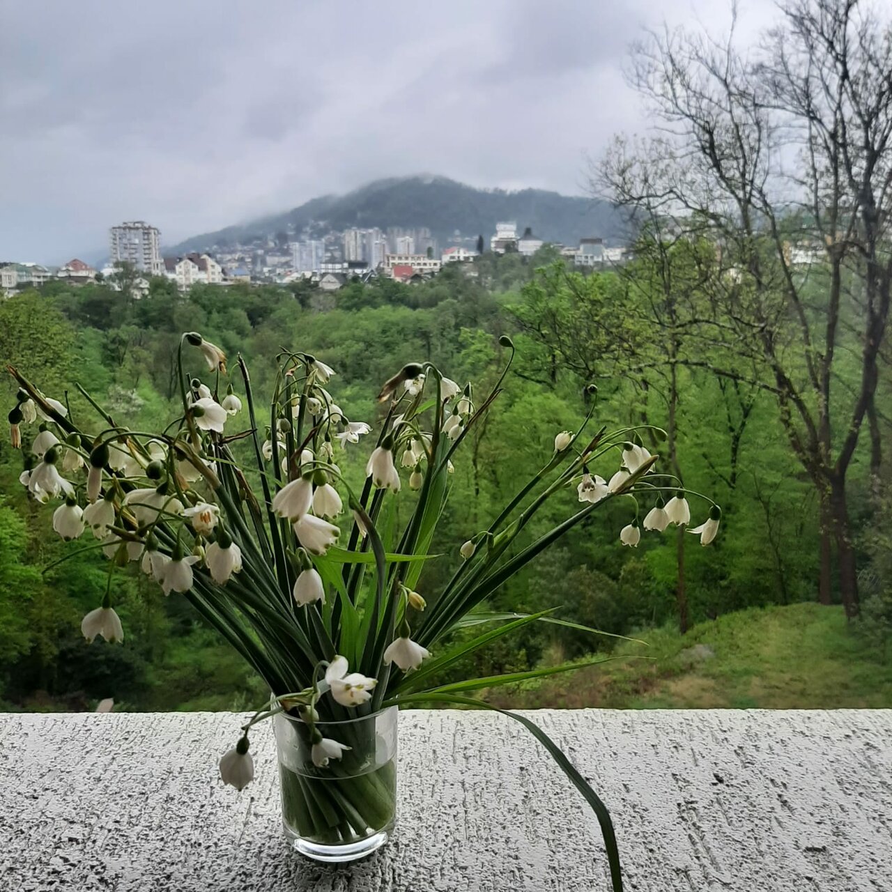 Гостевой дом Элит Хаус Сочи-44