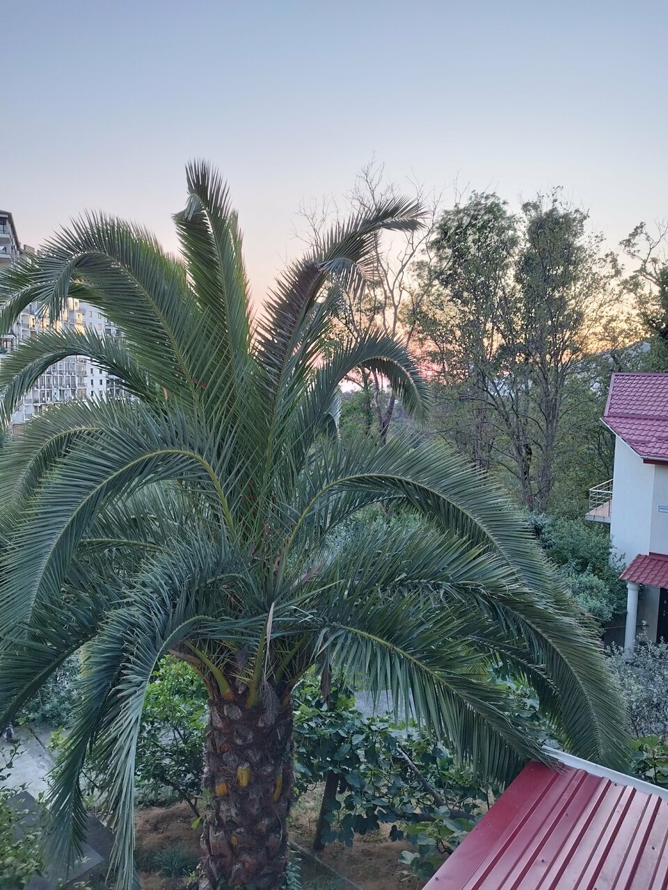 Гостевой дом Элит Хаус Сочи-48