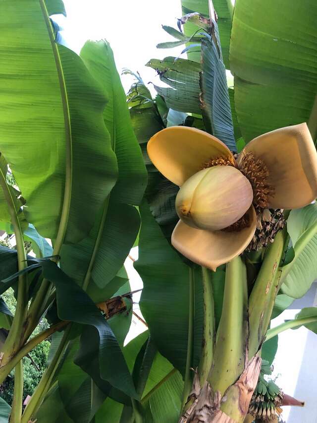 Гостевой дом Элит Хаус Сочи-251