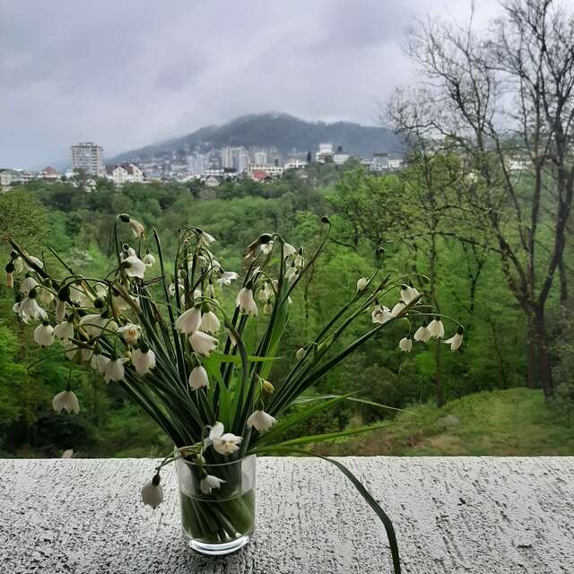 Гостевой дом Элит Хаус Сочи-43