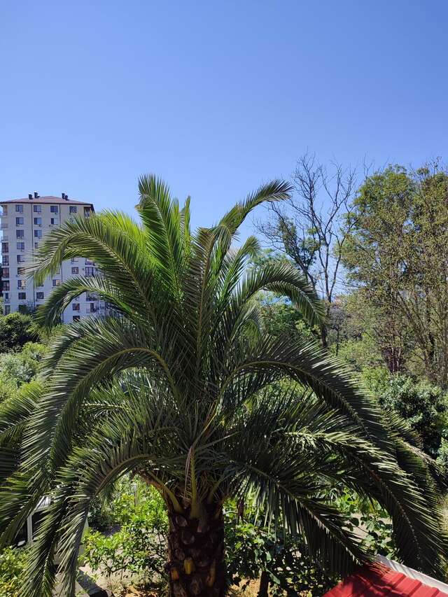 Гостевой дом Элит Хаус Сочи-41